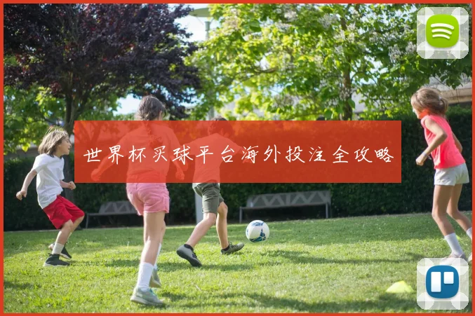 世界杯买球平台海外投注全攻略