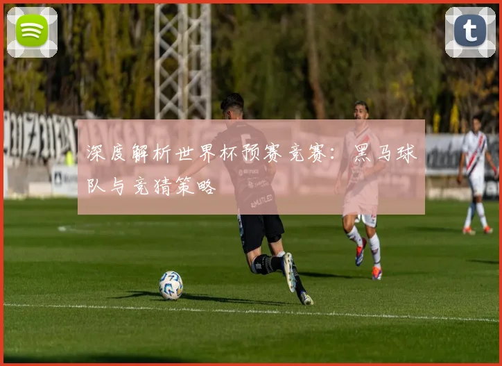 深度解析世界杯预赛竞赛：黑马球队与竞猜策略