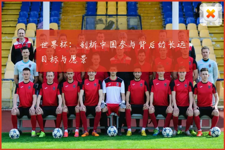 世界杯:剖析中国参与背后的长远目标与愿景