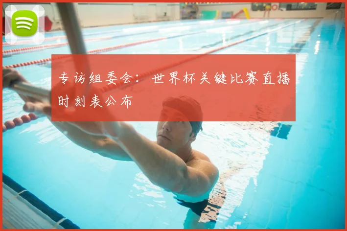 专访组委会:世界杯关键比赛直播时刻表公布