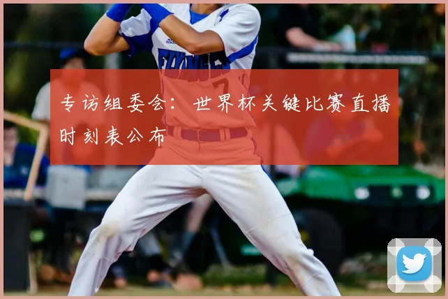 专访组委会:世界杯关键比赛直播时刻表公布