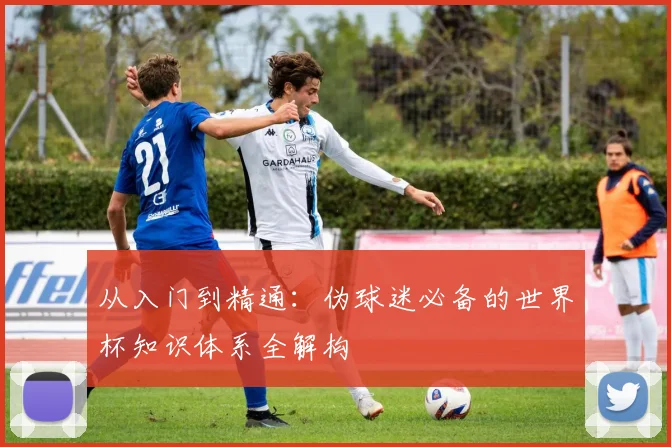 从入门到精通：伪球迷必备的世界杯知识体系全解构