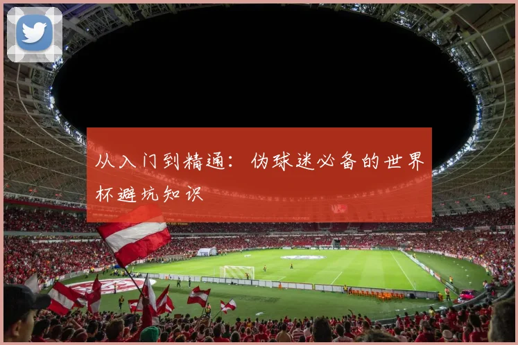 从入门到精通:伪球迷必备的世界杯避坑知识