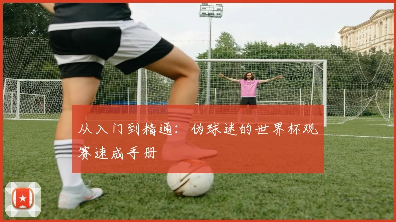 从入门到精通:伪球迷的世界杯观赛速成手册