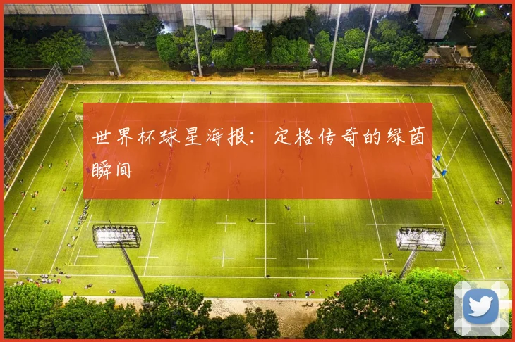 世界杯球星海报：定格传奇的绿茵瞬间